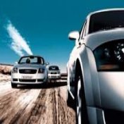 auditt.jpg