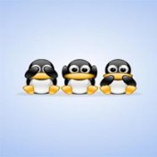 linux2.jpg