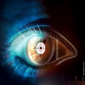 auge.jpg