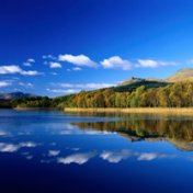 landscape2.jpg
