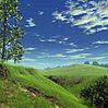 landscape1.jpg
