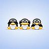 linux2.jpg